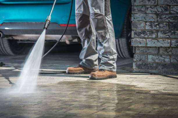 Trusted Roanoke, IN Pressure Washing Services Experts