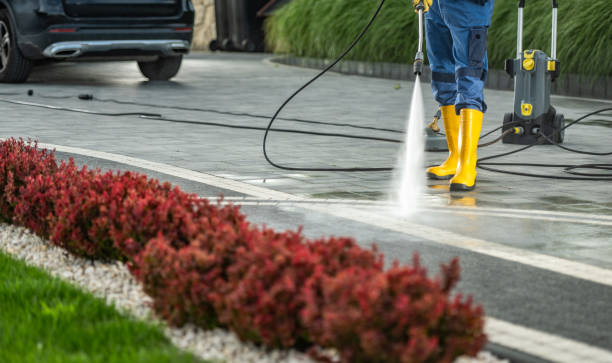 Best Window and Screen Pressure Cleaning in Roanoke, IN